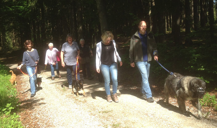 gruppenspaziergang